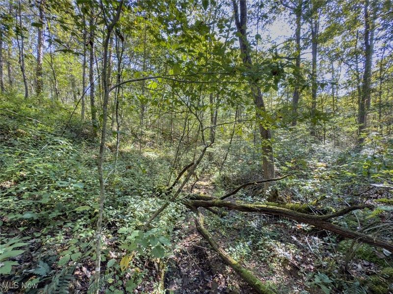 Lot 1 Shinn Road, Stockport, OH 45724 Photo 13