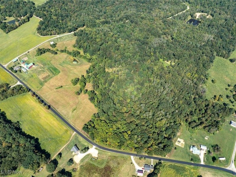 Lot 1 Shinn Road, Stockport, OH 45724 Photo 14