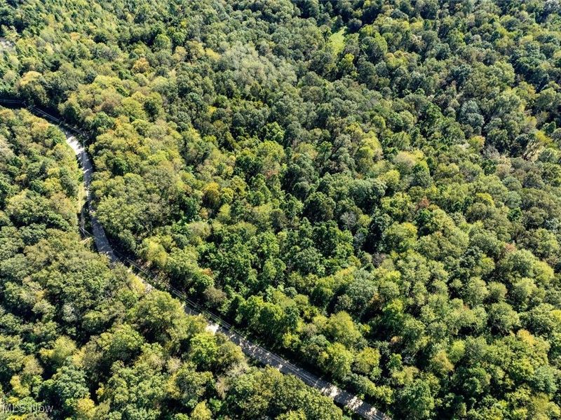 Lot 1 Shinn Road, Stockport, OH 45724 Photo 6