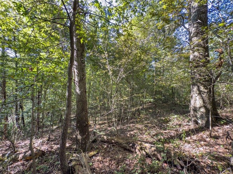 Lot 1 Shinn Road, Stockport, OH 45724 Photo 7