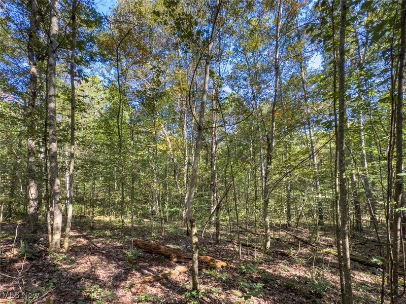 Lot 1 Shinn Road, Stockport, OH 45724 Photo 9