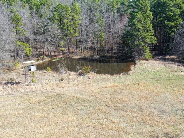 207 RAINS Lane, Sims, AR 71969