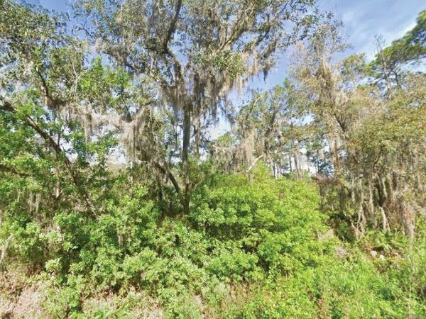 119 TEMPLE AVENUE, CRESCENT CITY, FL 32112