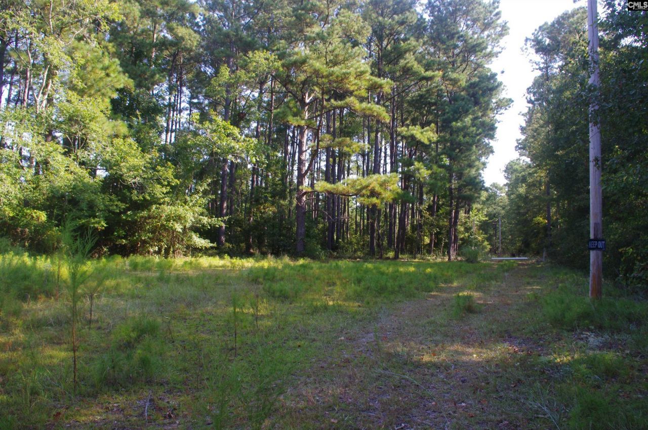 243 Bridalwreath Drive Photo 15