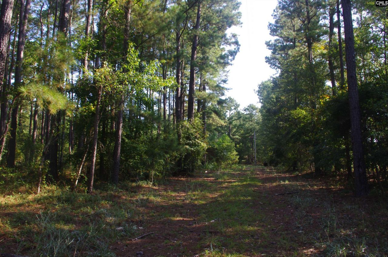 243 Bridalwreath Drive Photo 16