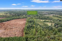 243 Bridalwreath Drive photo 4