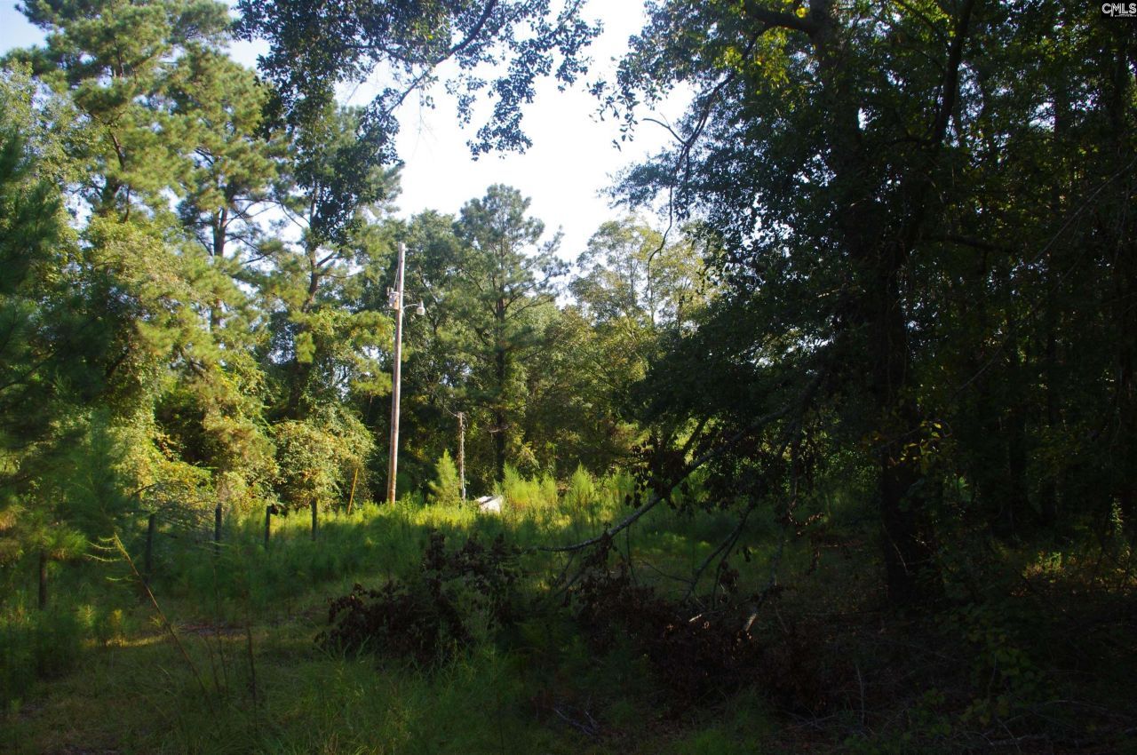 243 Bridalwreath Drive Photo 21