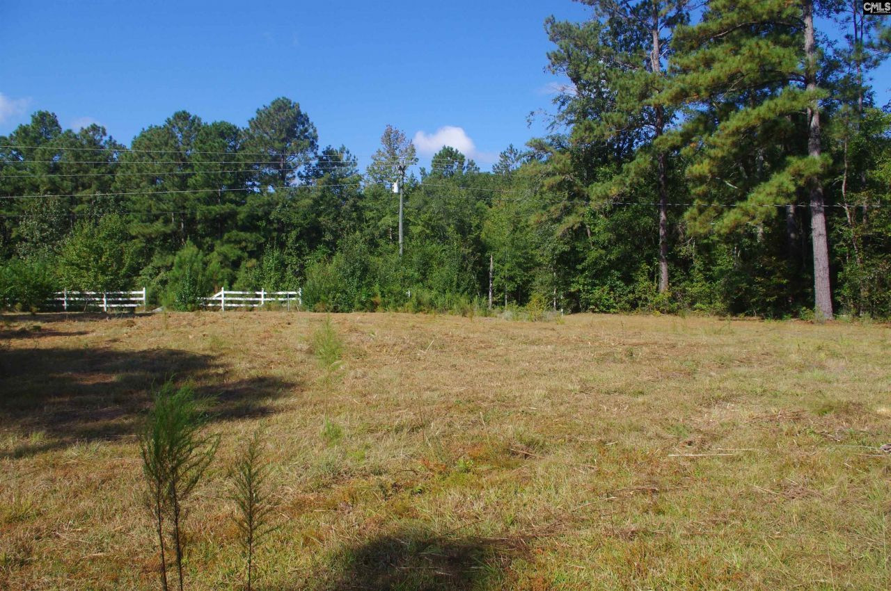 243 Bridalwreath Drive Photo 6