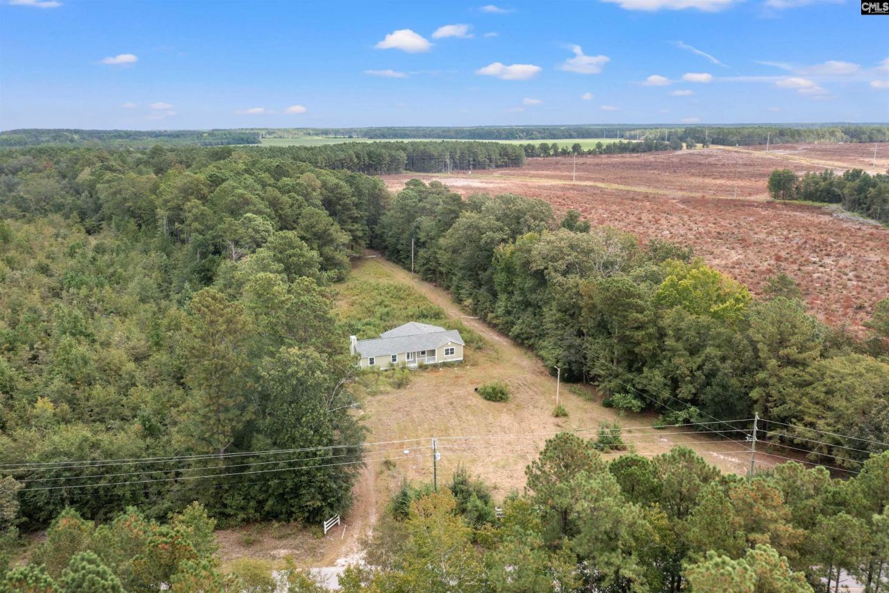 243 Bridalwreath Drive Photo 9