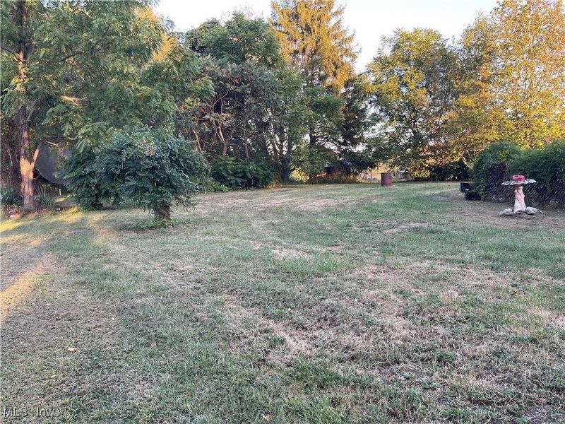 4000 State Route 152, Dillonvale, OH 43917 Photo 4