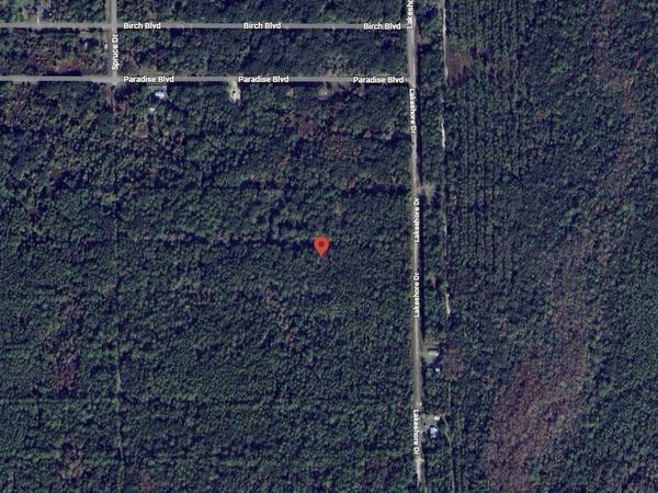 329 Chipola Drive, Georgetown, FL 32139