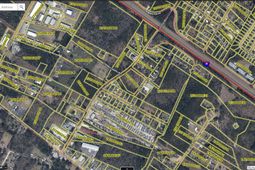 230 Royle Road  photo 4