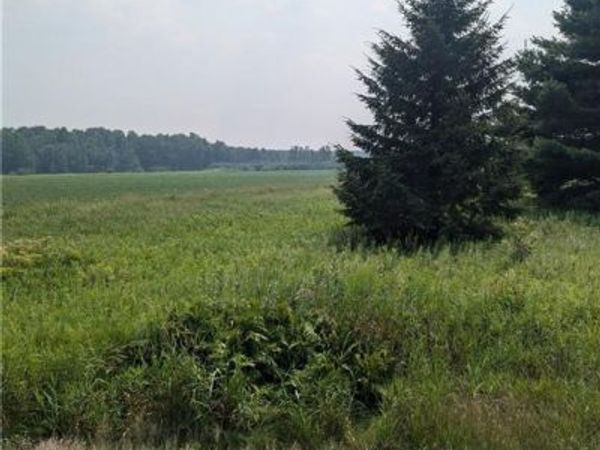 Lot 4 County Highway W, Holcombe, WI 54745