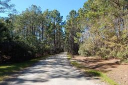 0 Crooked Creek Lane photo 4