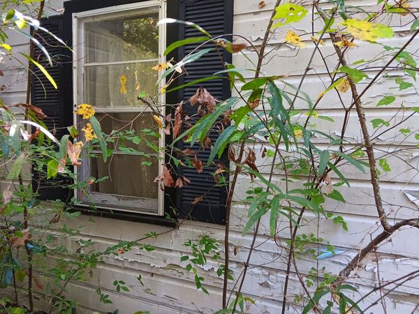 4377 Rock Mills Road, Franklin, GA 30217