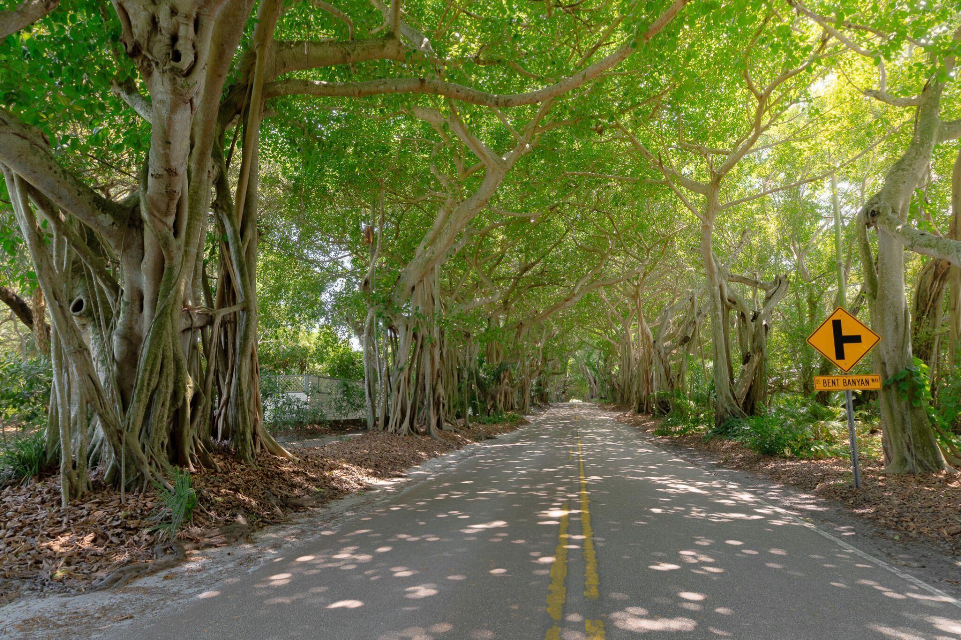 3800 SE Bent Banyan Way, Stuart, FL 34997 Photo