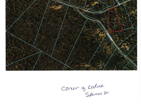 Kodiak Lane, Unit Lot 9 Bloc, Bonanza, OR 97623