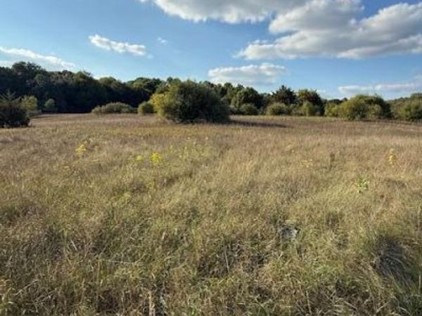 V/L Industrial Park Drive, Greenville, MI 48838