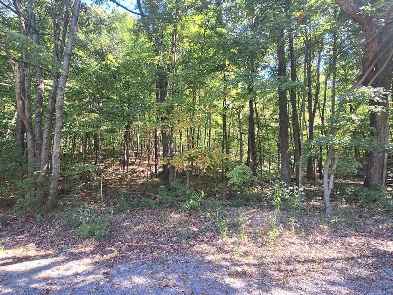 965 Graves Road, Chillicothe, OH 45601 Photo 10