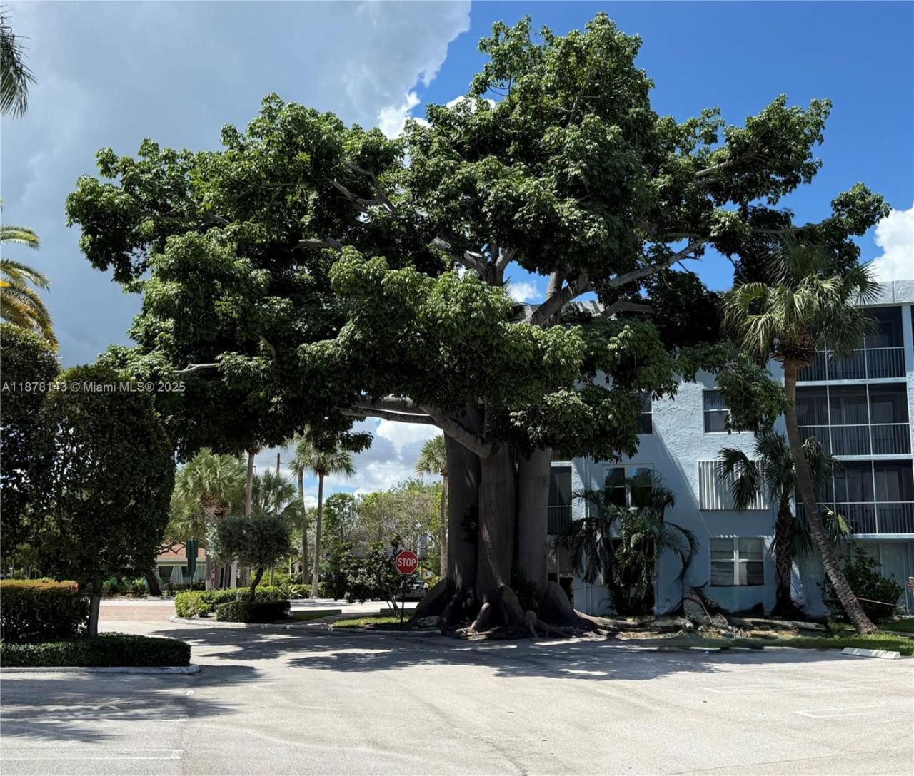 2000 S Federal Hwy, Unit 304, Boynton Beach, FL 33435 Photo