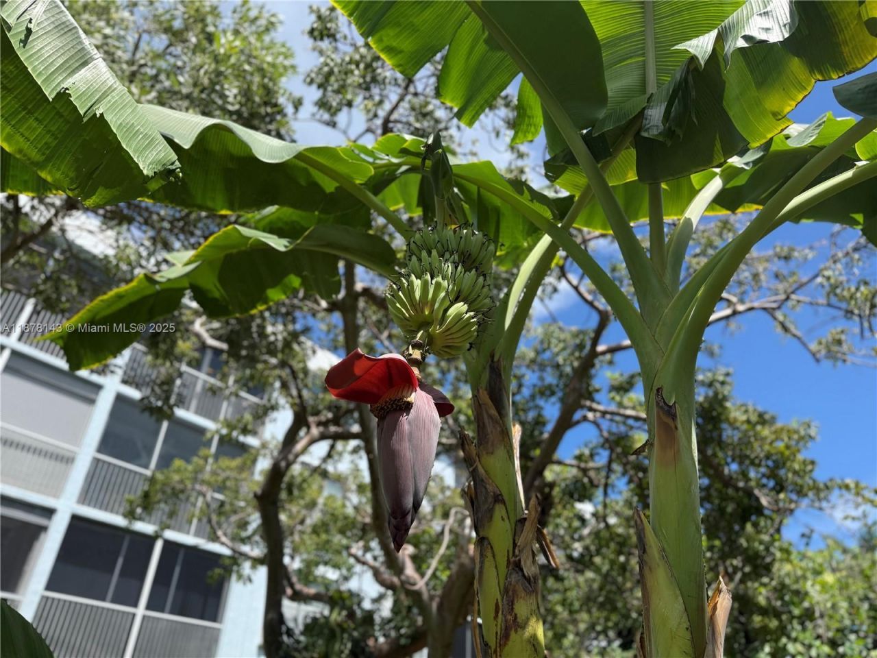 2000 S Federal Hwy, Unit 304, Boynton Beach, FL 33435 Photo