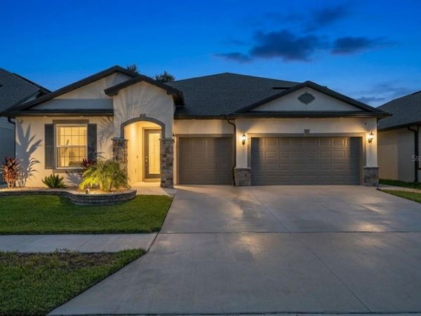 9397 IBIS GROVE BOULEVARD, WESLEY CHAPEL, FL 33545