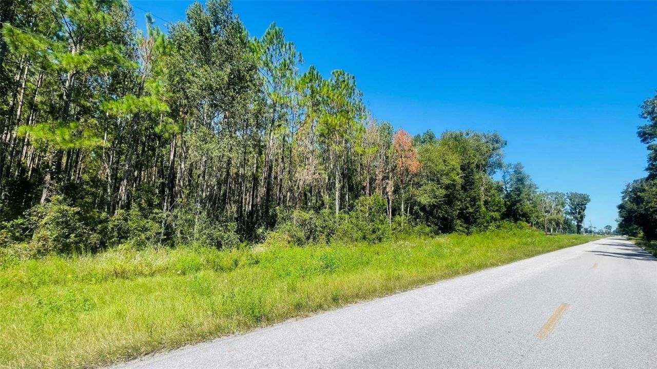 T/b/d NW 50th Ave, Trenton, FL 32693 Photo