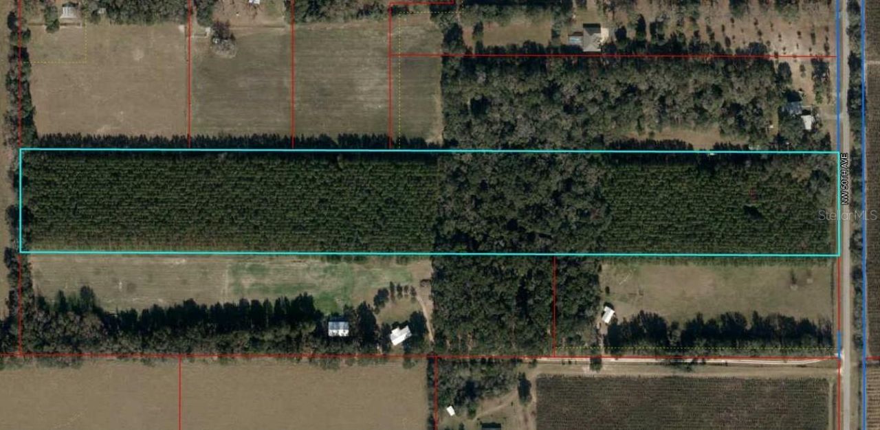 T/b/d NW 50th Ave, Trenton, FL 32693 Photo