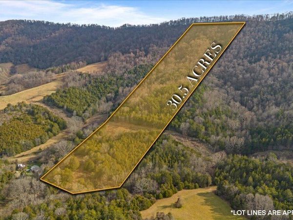 Little Sycamore Rd, Tazewell, TN 37879