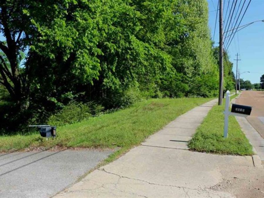 Property Image 4