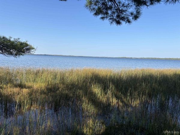 TBD Champs Elysees Road, Newton Twp, MI 49838