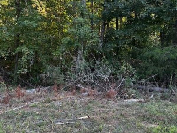 1103 W Adrian Circle SW, Conyers, GA 30094