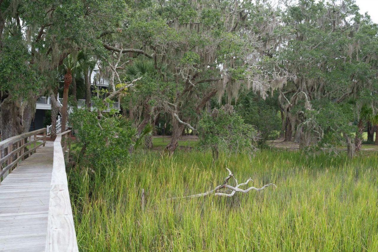 7805 Russell Creek Road Photo 66