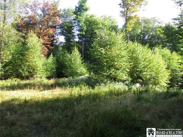 0 County Rd 5, Bolivar, NY 14715