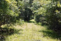 00 Misty Ridge Lane photo 4