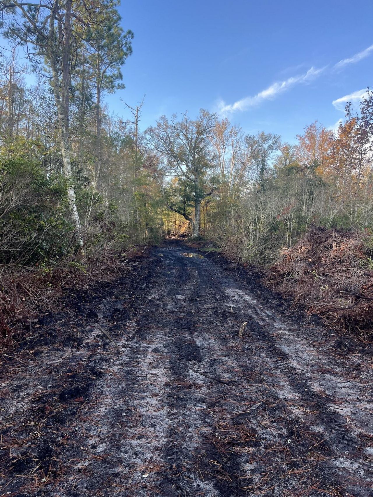 00 Misty Ridge Lane Photo 5