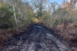 00 Misty Ridge Lane photo 4