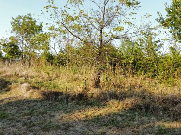0 Jackie Lane, Unit Lots 5-7, Owenton, KY 40359
