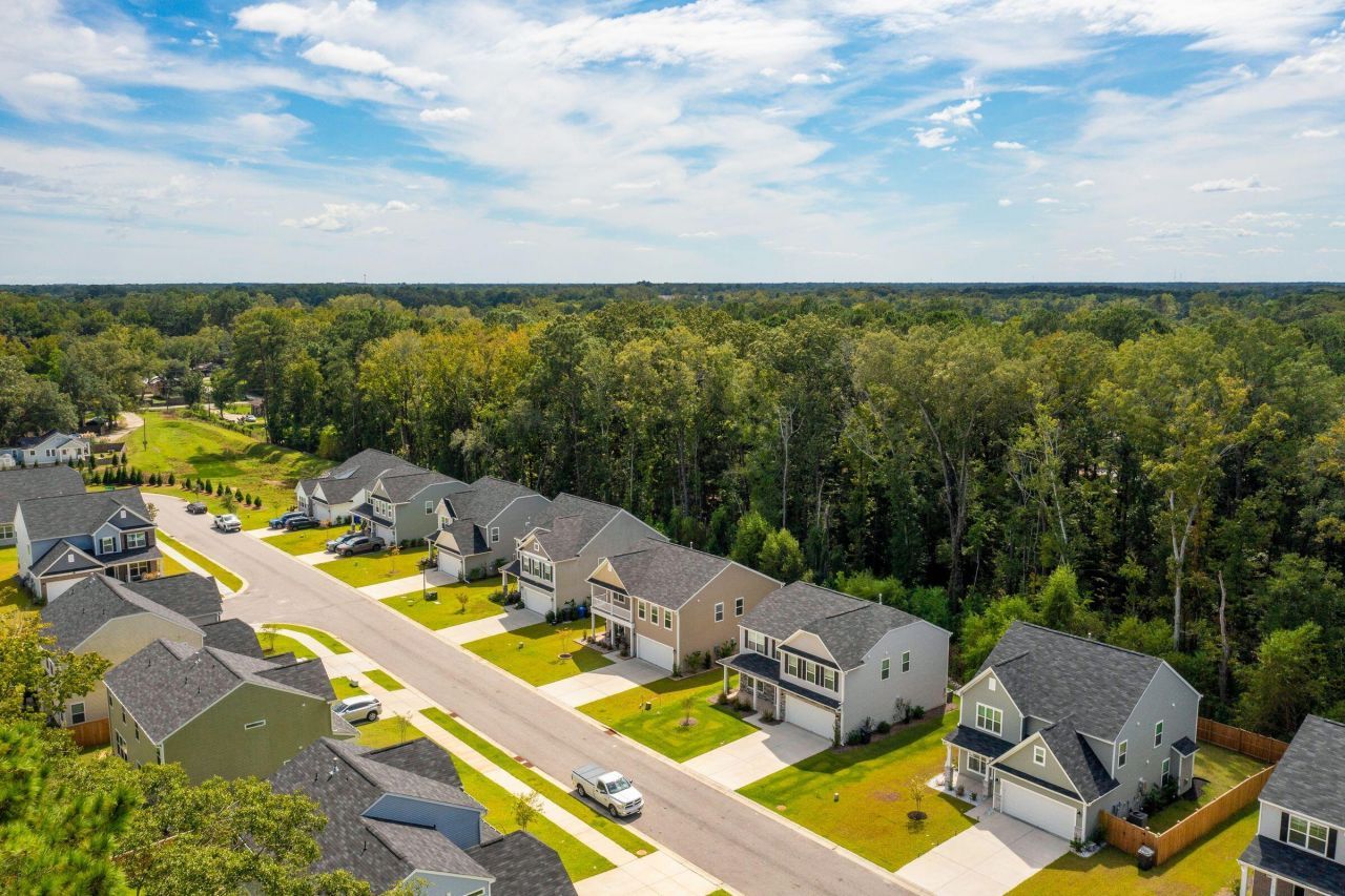 8809 Citronella Way Photo 9