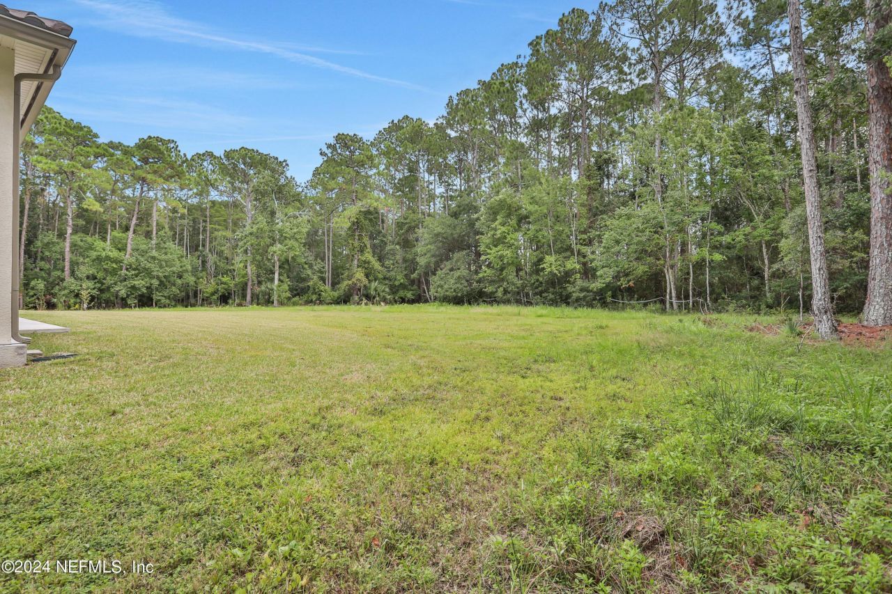 432 Aj Mills Road, Ponte Vedra, FL 32081 Photo