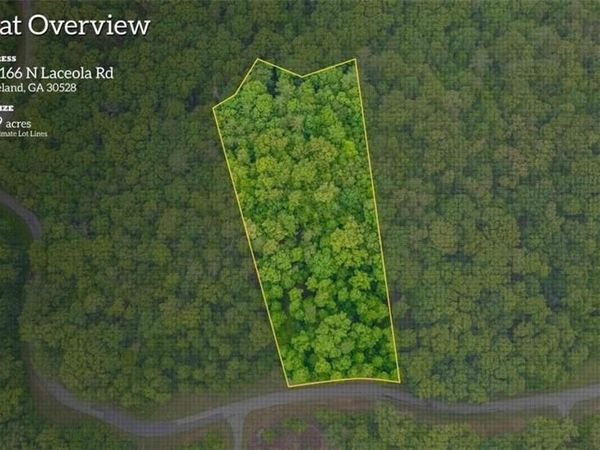 166 N Laceola Road, Cleveland, GA 30528