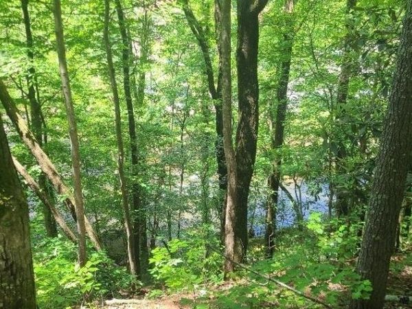 0 Ber Weg, Helen, GA 30545