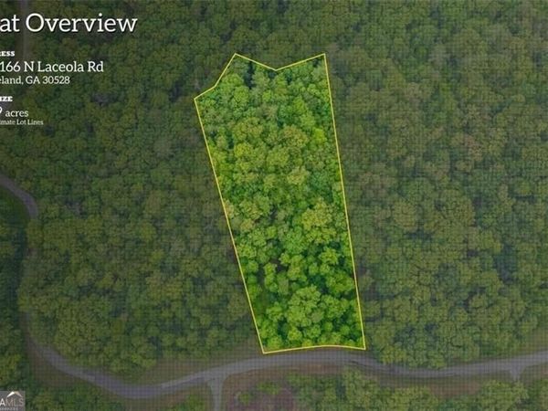 166 N Laceola Road, Cleveland, GA 30528