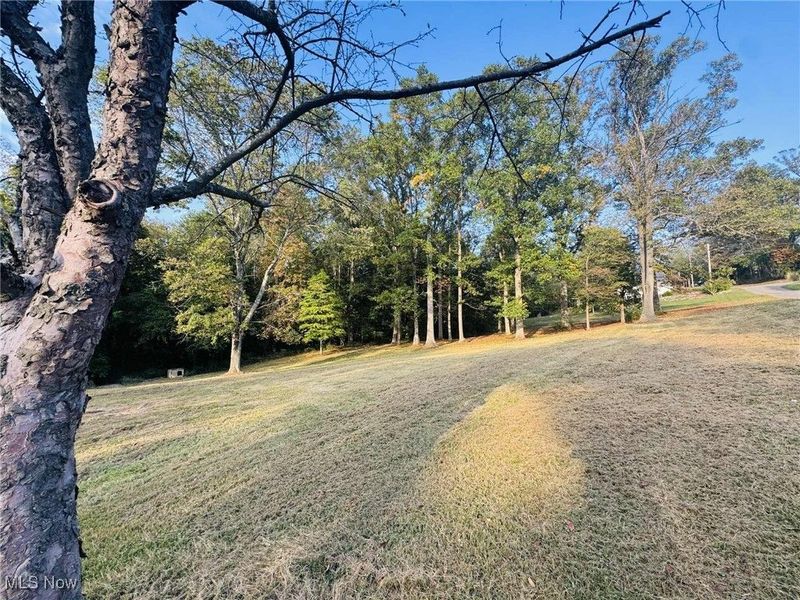 401 Summit Street, Crooksville, OH 43731 Photo 23