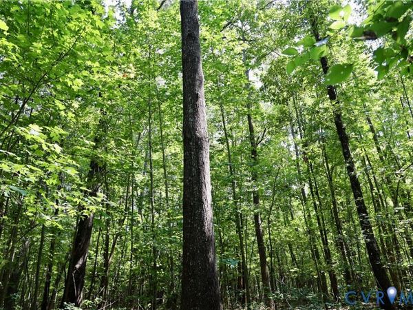 0 Bellevue Road , Halifax, VA 24588