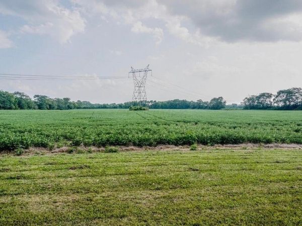 1800 Lynnbrook Court , Orient, OH 43146