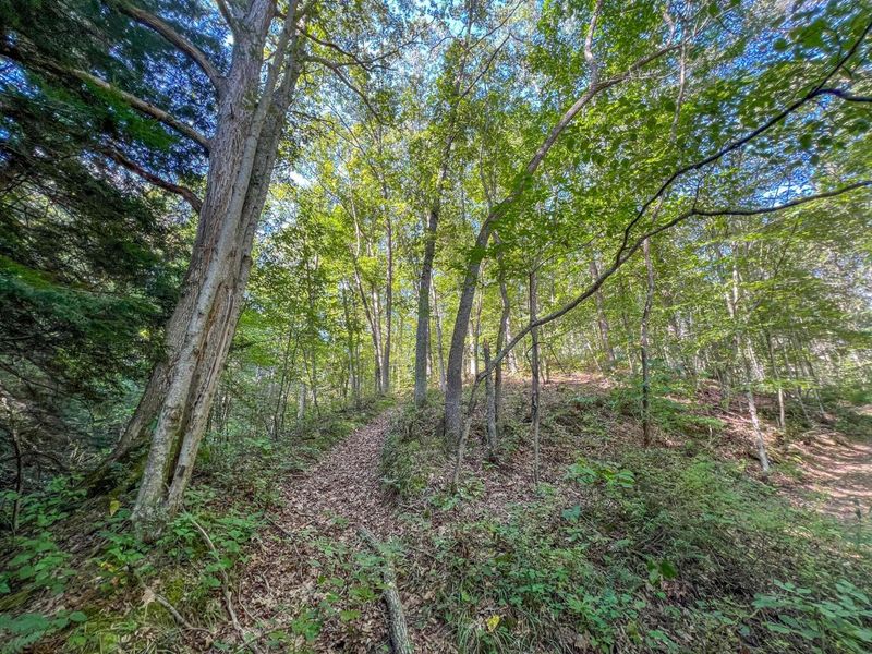 30129 Stevens Branch Road, Londonderry, OH 45647 Photo 12