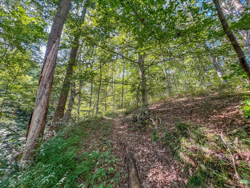 30129 Stevens Branch Road, Londonderry, OH 45647 Photo 20