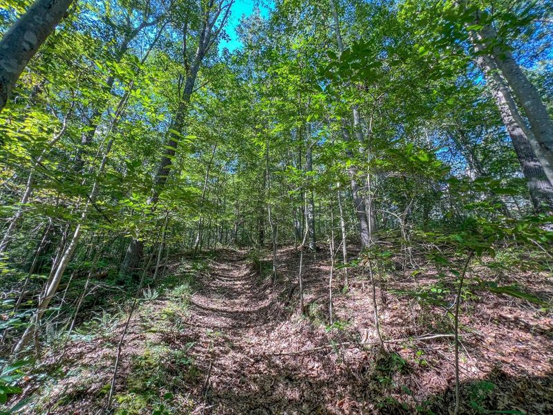 30129 Stevens Branch Road, Londonderry, OH 45647 Photo 21