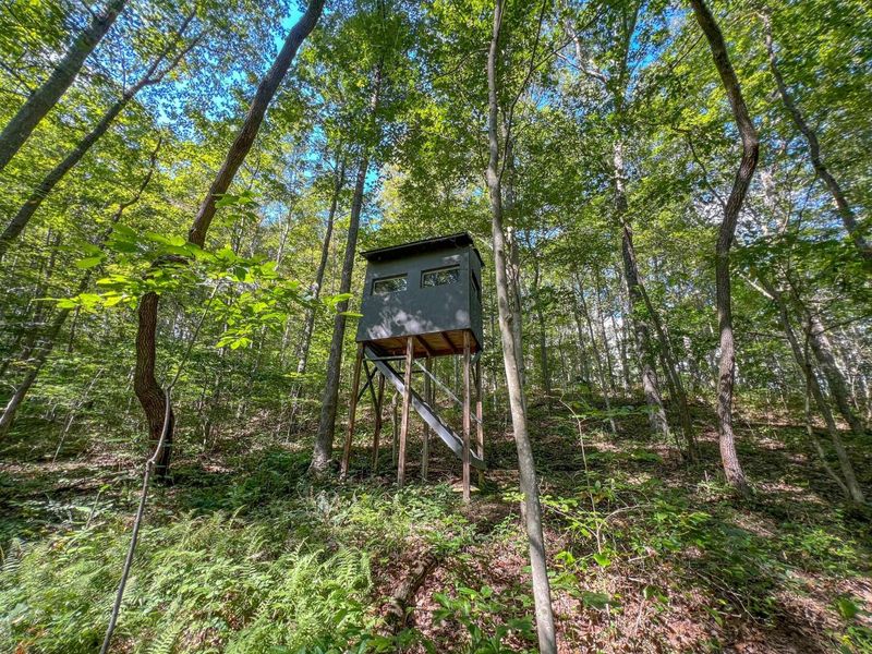 30129 Stevens Branch Road, Londonderry, OH 45647 Photo 23